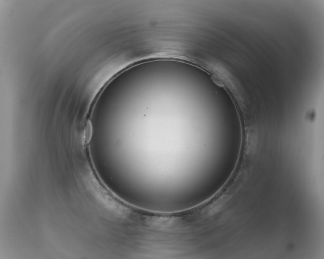 X0000112101284200908111408