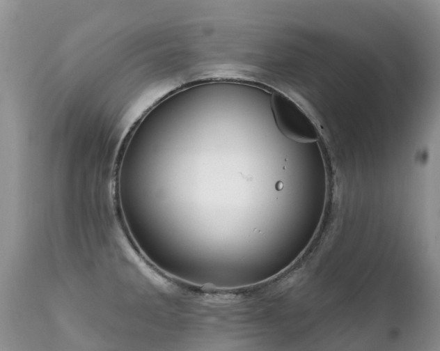 X0000112101285200908111408