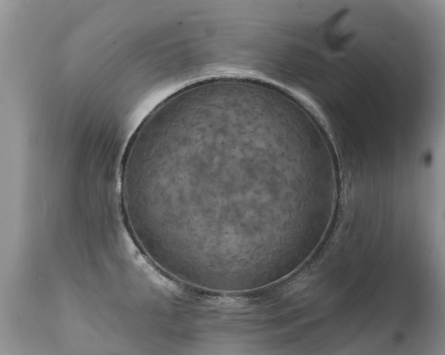 X0000112101287200908111408