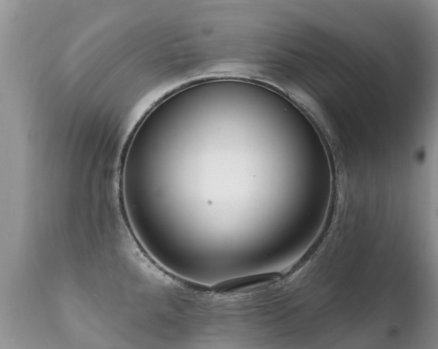 X0000112101288200908111408