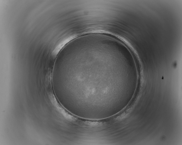 X0000112101289200908111408