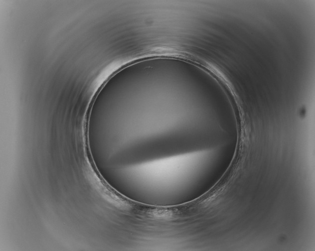 X0000112101291200908111408