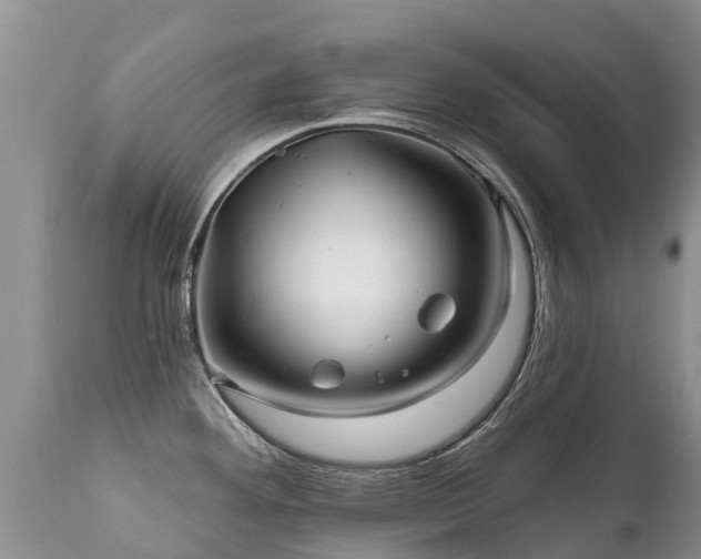 X0000112101292200908111408