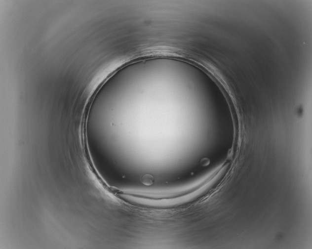 X0000112101293200908111408