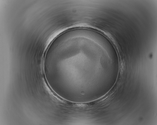X0000112101295200908111408