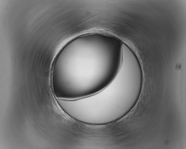 X0000112101296200908111408