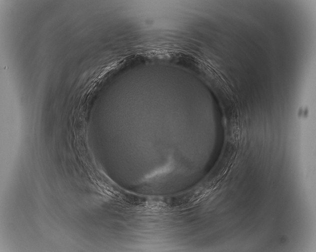 X0000112101297200908111408