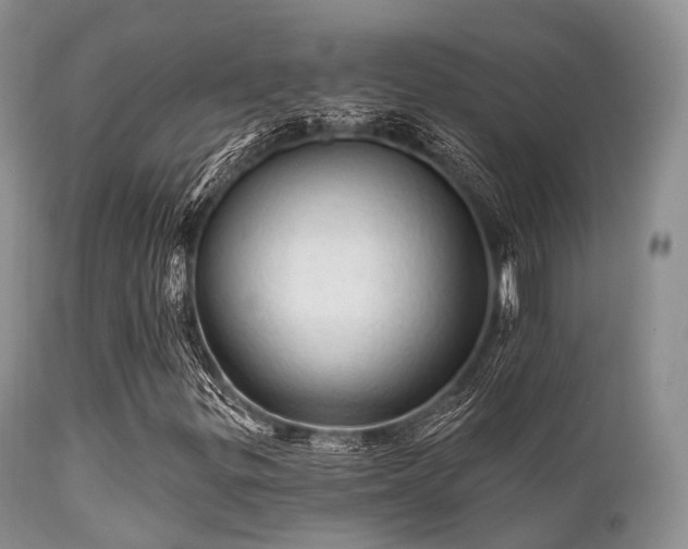 X0000112101299200908111408