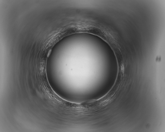 X0000112101300200908111408