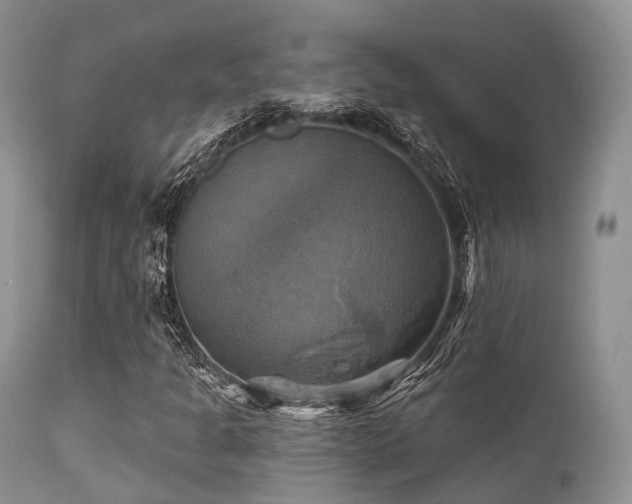 X0000112101301200908111408