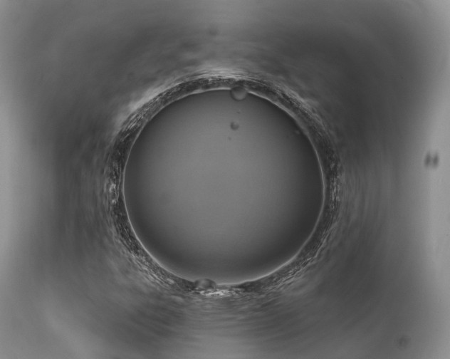 X0000112101303200908111408