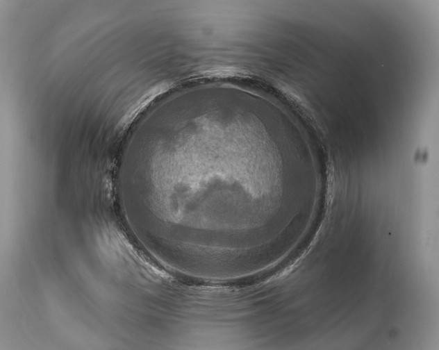 X0000112101305200908111408