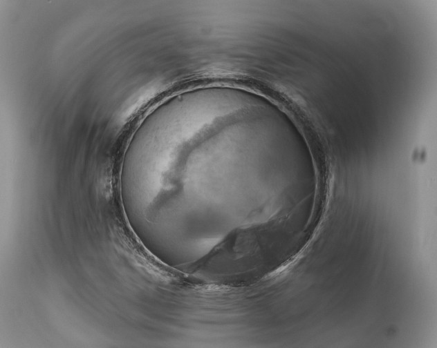 X0000112101306200908111408
