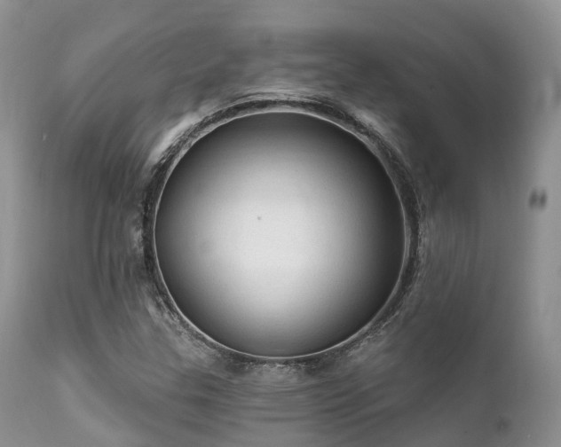 X0000112101307200908111408
