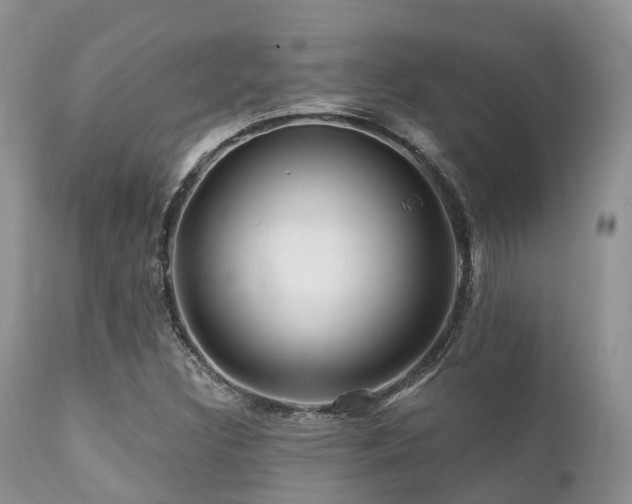 X0000112101308200908111408
