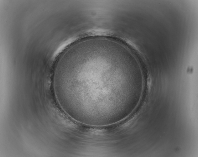 X0000112101309200908111408