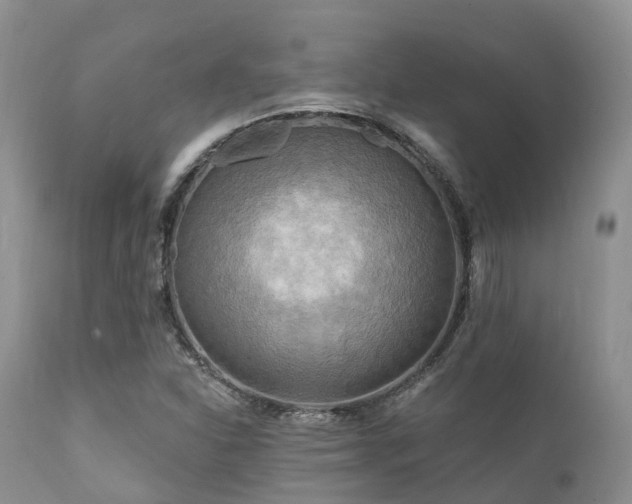 X0000112101310200908111408