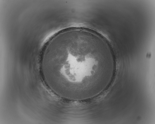 X0000112101311200908111408