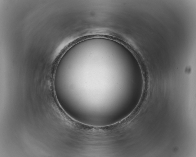 X0000112101312200908111408