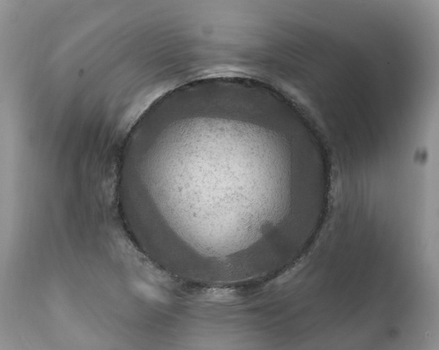 X0000112101313200908111408