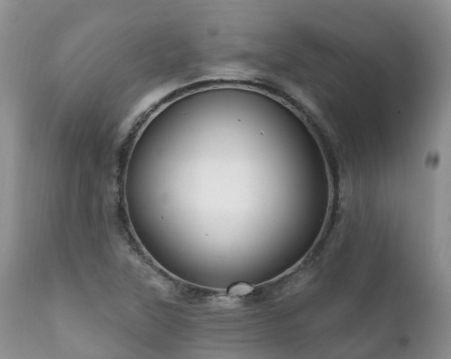 X0000112101315200908111408