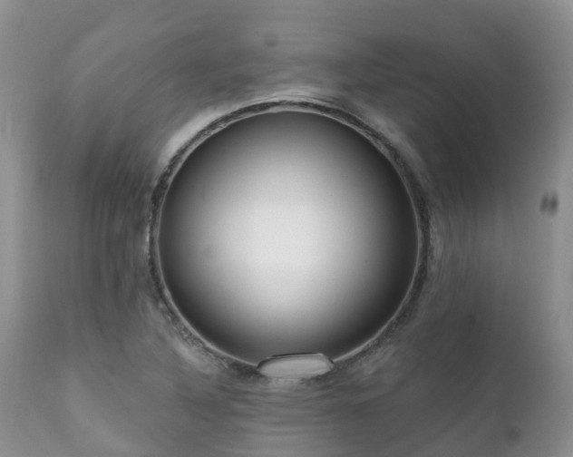X0000112101316200908111408