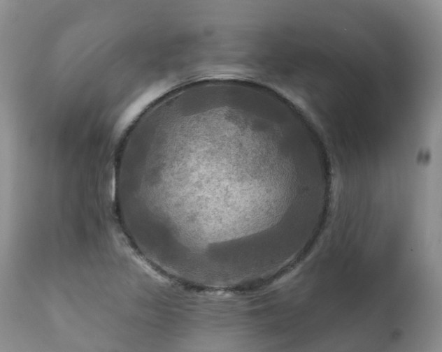 X0000112101317200908111408