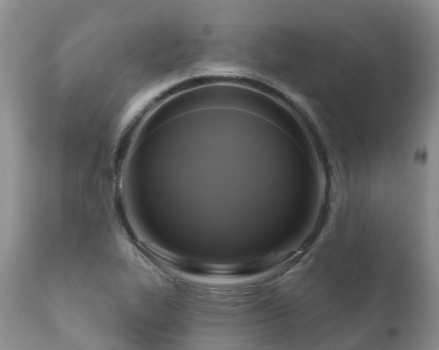 X0000112101319200908111408