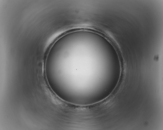 X0000112101320200908111408