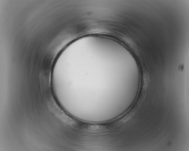 X0000112101322200908111408