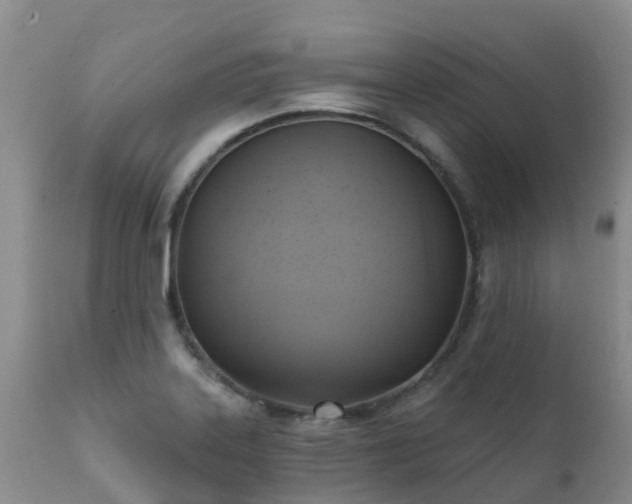 X0000112101323200908111408