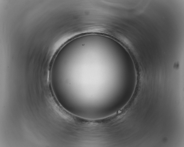X0000112101324200908111408