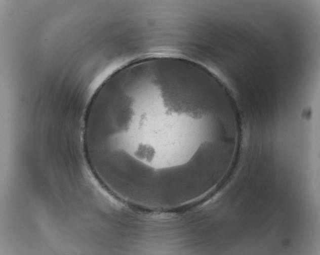 X0000112101325200908111408