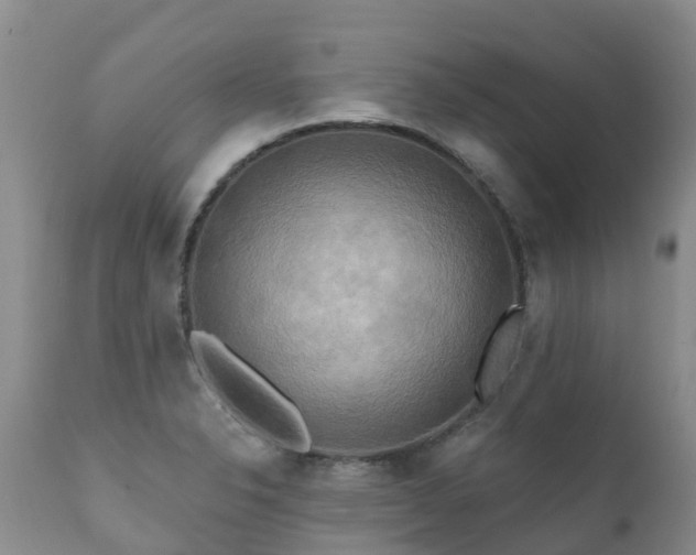 X0000112101326200908111408