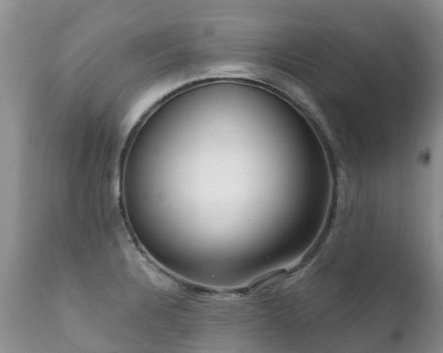X0000112101328200908111408