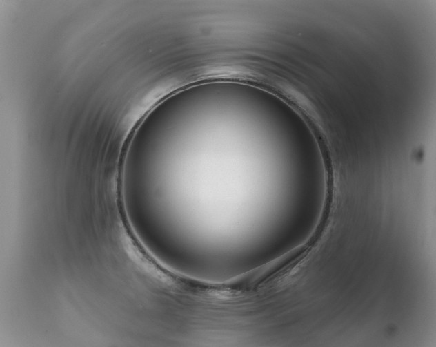 X0000112101330200908111408