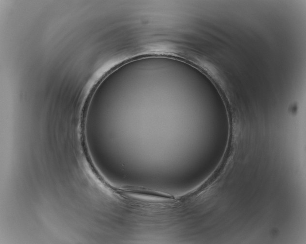 X0000112101331200908111408