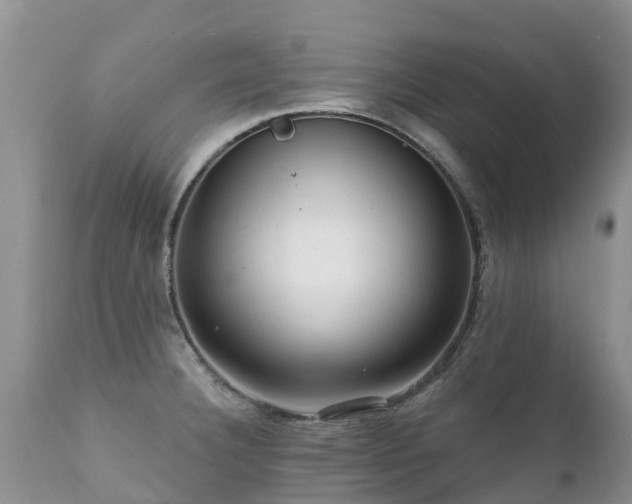 X0000112101332200908111408