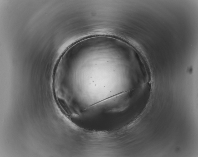 X0000112101334200908111408