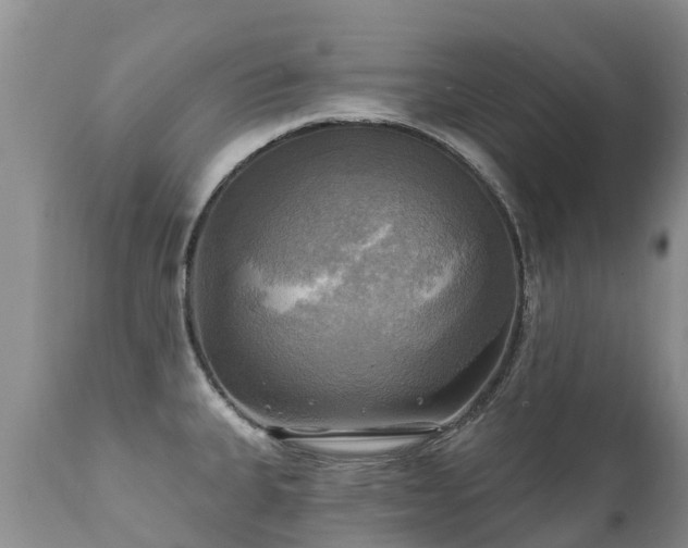 X0000112101335200908111408
