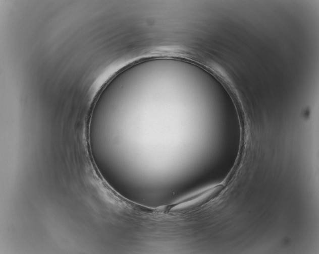 X0000112101336200908111408