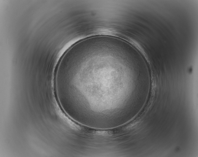 X0000112101339200908111408