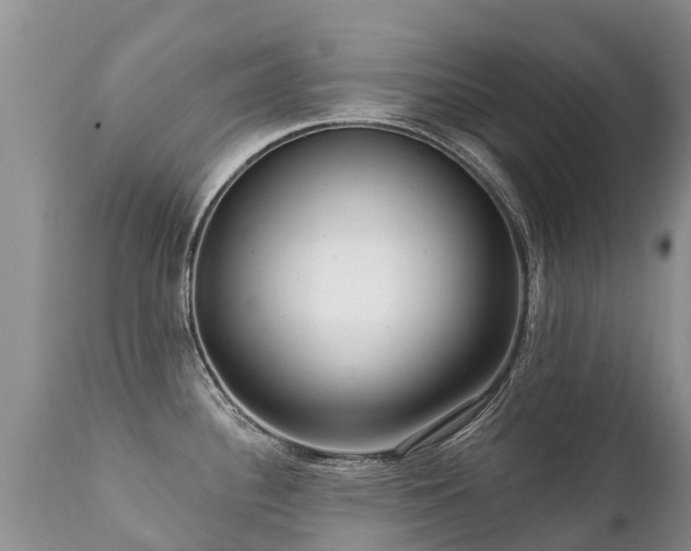 X0000112101340200908111408
