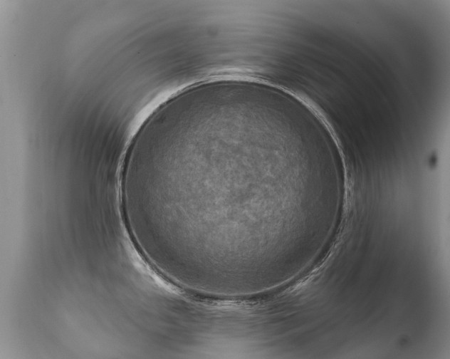 X0000112101341200908111408