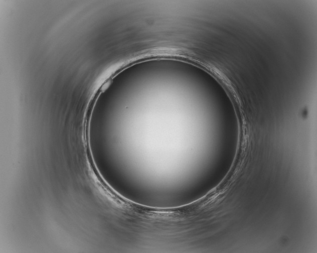 X0000112101342200908111408
