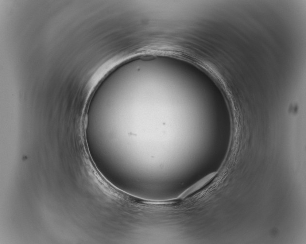 X0000112101344200908111408