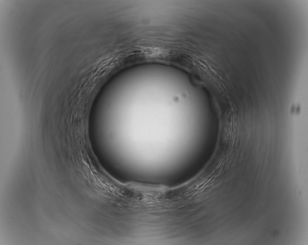 X0000112101345200908111408