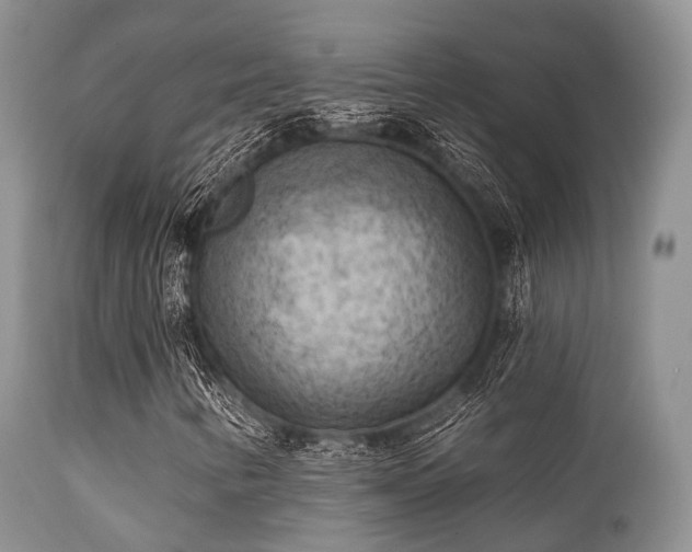 X0000112101346200908111408