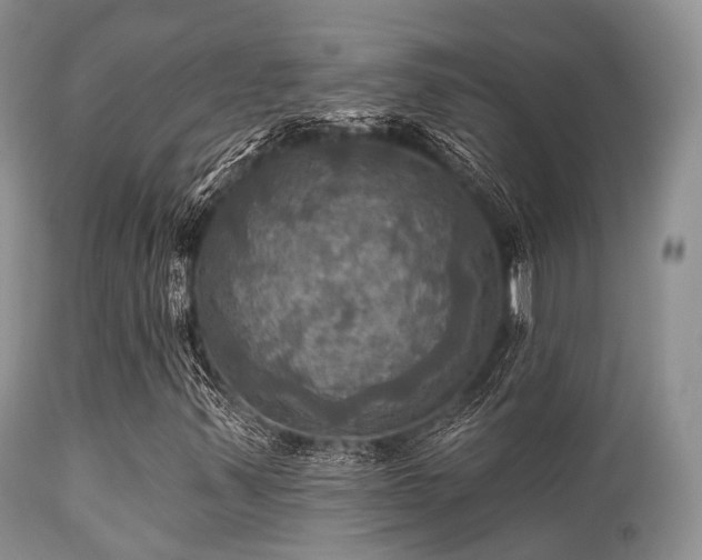 X0000112101347200908111408
