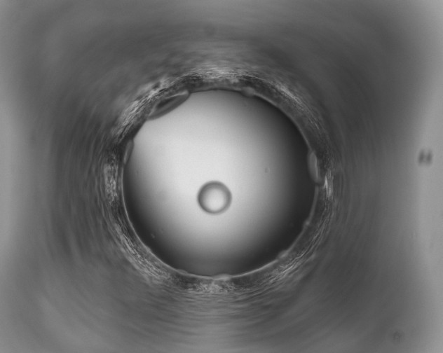 X0000112101348200908111408